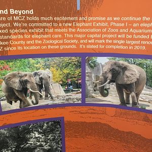 Adventure Africa Info