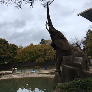 African Elephant - Reaching Up High!