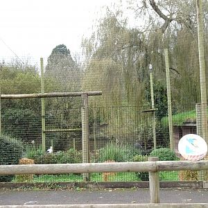 Spot the species, November 2017