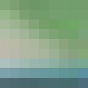 Sri Lankan Leopard Cubs