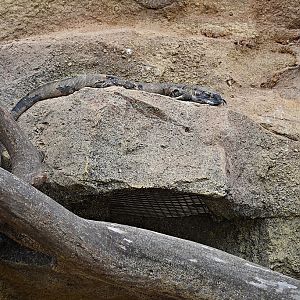 Rock monitor
