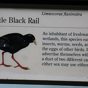 Black Crake Signage