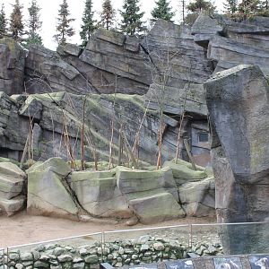 Tahr - Takin enclosure