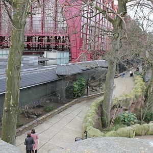 Bird of prey - Owl aviaries