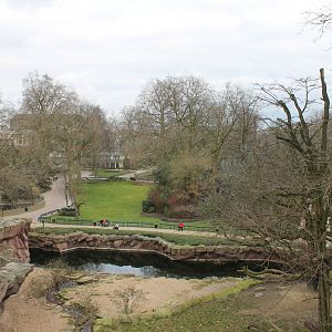 View into the Zoo