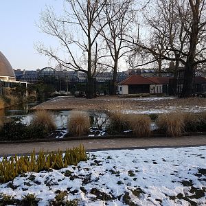 Domestic animal-enclosure