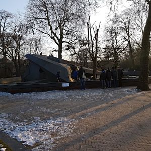 Japanese macaque-rock