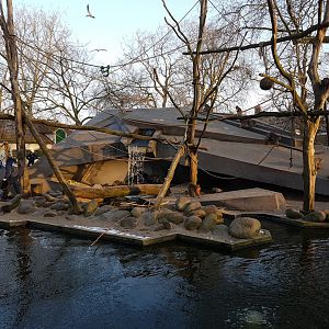 Japanese macaque-rock