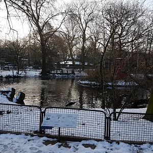 Waterfowl pond with Gibbon-island