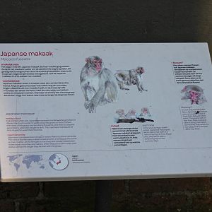 Sign Japanese macaque