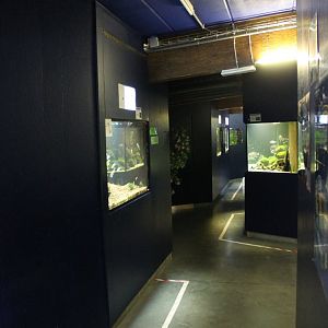 View into the Aquarium