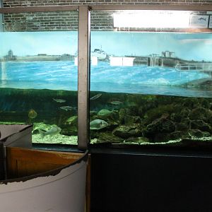 North Sea Aquarium
