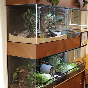 Invebrates-enclosures