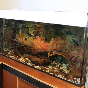 Crayfish-enclosure