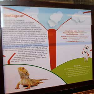 Sign Bearded dragon