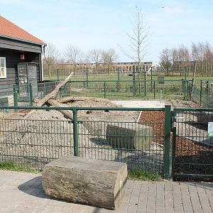 Rabbit - Guinea pig enclosure
