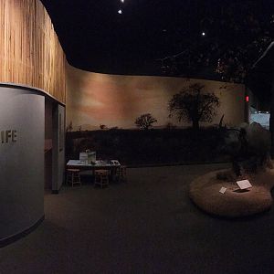 African Hall Entrance