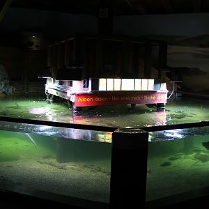 North Sea - touch pool