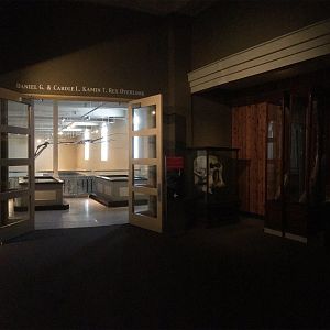 African Hall African Elephant Skull & Tusks