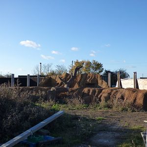 New 'Meerkat Mountain' Enclosure