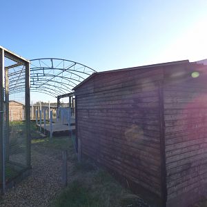 View of nocturnal house construction
