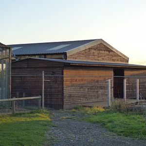 Nocturnal house construction