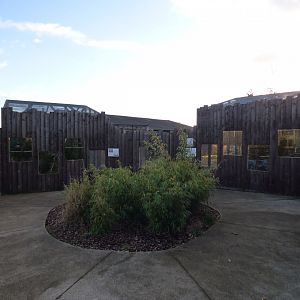 Small Cat Enclosures