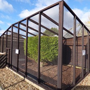 Greater Grison Enclosure