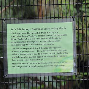 Australian Brush-Turkey Signage