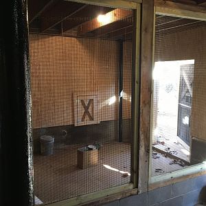 new chicken coop - inside barn