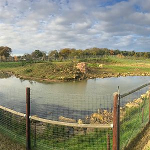 Polar bear (exhibit) : Yorkshire WP : 11 Nov 2017