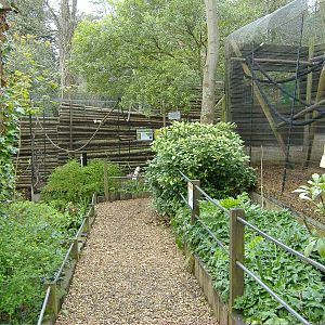 Red Ruffed Lemurs and Macaw enclosures Shaldon Zoo