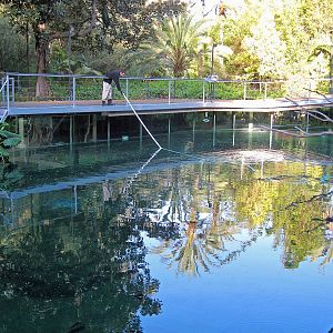 Hippo exhibit - behind the scenes tour
