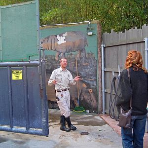 Hippo exhibit - behind the scenes tour