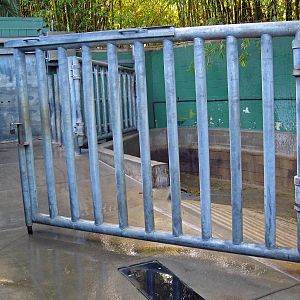 Hippo exhibit - behind the scenes tour