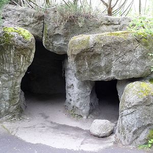 Grizzly Bear Exhibit - Viewing Cave
