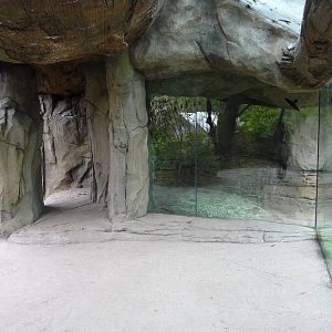 Jaguar Exhibit