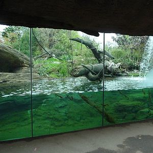 Jaguar Exhibit