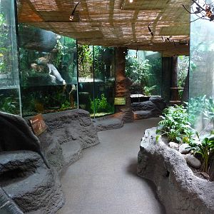 Rainforest Building