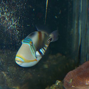 Under water world 2009