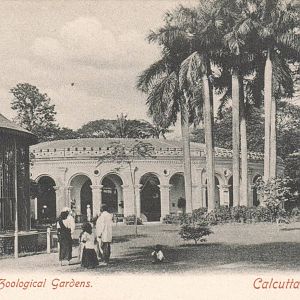 Calcutta Zoological Gardens 1900