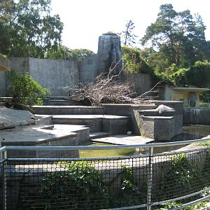 Polar Bear Exhibit