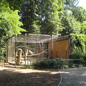 Mandrill utdoor cage