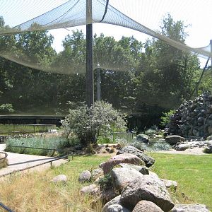 Inside the Beachbird Aviary