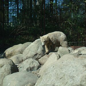 Visit in Aalborg zoo on 25th of april