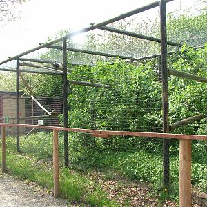 Ruffed Lemur enclosure at Wetlands WP 25/04/09
