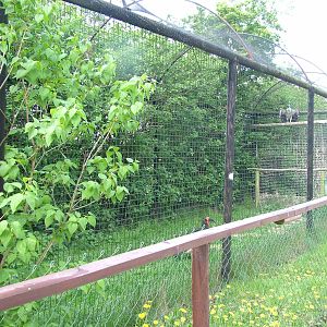 Aviary at Wetlands WP 25/04/09