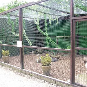Sacred Ibis aviary at Wetlands WP 25/04/09
