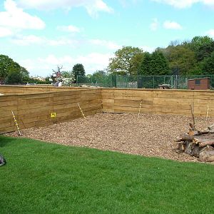 Raccoon Dog enclosure at Yorkshire WP 25/04/09
