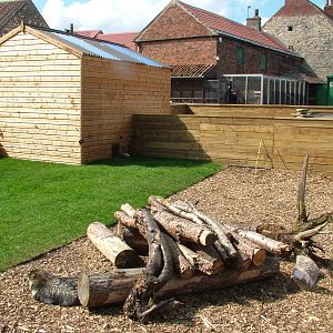 Raccoon Dog enclosure at Yorkshire WP 25/04/09